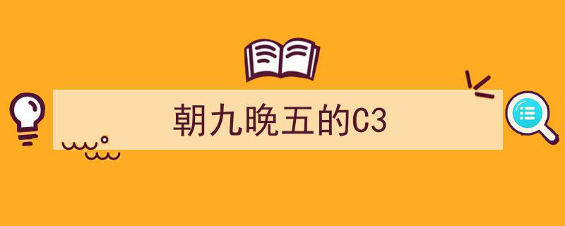 朝九晚五，C3职场生活,平衡与效率的艺术"/