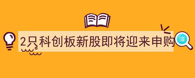2只科创板新股即将开启申购，投资机会不容错过！"/