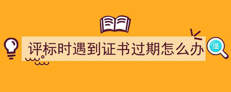 评标过程中证书过期应对策略及解决方案"/