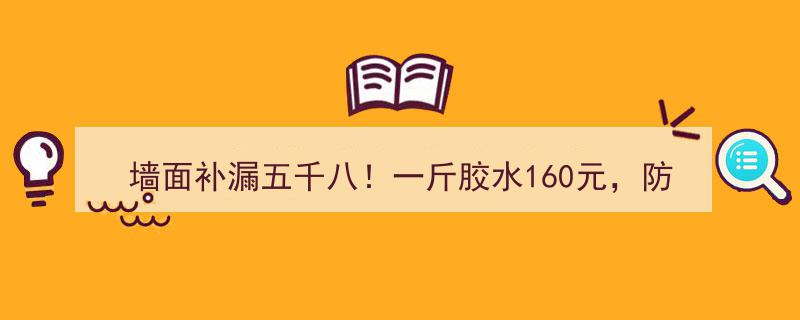 墙面补漏只需五千八！一斤胶水160元，防水小哥揭秘,高科技材料助力高效修复！"/