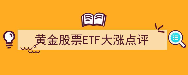 黄金股票ETF狂飙点评,多头行情凸显，市场热度持续升温"/