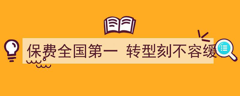 保费全国领跑，保险业转型刻不容缓,迈向高质量发展新篇章"/