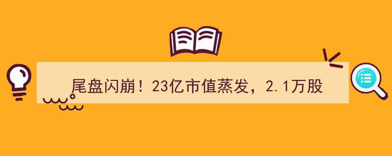 尾盘惊现闪崩！23亿市值瞬间蒸发，2.1万股东惊慌失措，网友热议,一日蒸发22%财富，有人直呼亏损13万，究竟发生了什么？"/