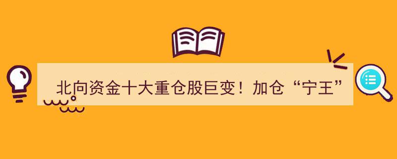 北向资金十大重仓股剧变揭秘,大举加仓“宁王”320亿，茅台减仓超310亿，新晋第一大重仓行业曝光！"/