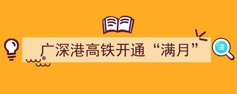 广深港高铁开通“满月”,提速湾区经济，共筑高铁新篇章"/