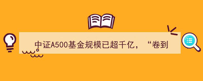 中证A500基金规模突破千亿大关，行业“卷到极致”营销战持续激战"/