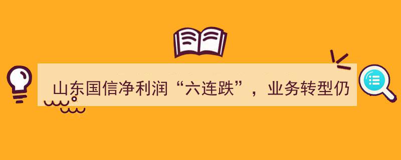 山东国信净利润“六连跌”持续发酵，业务转型之路任重道远"/
