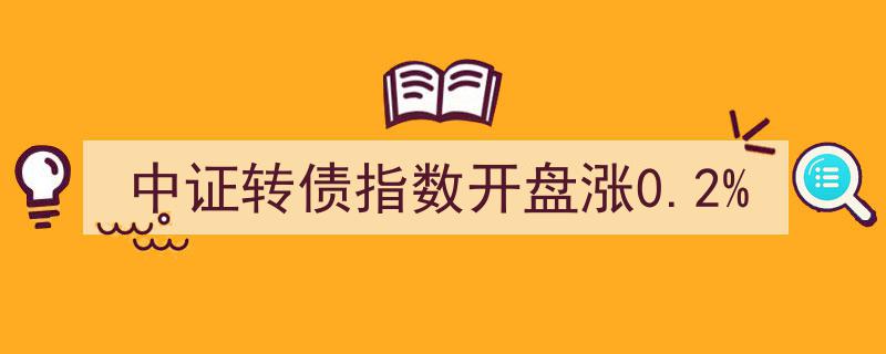 中证转债指数今日开盘上涨0.2%，市场情绪回暖"/