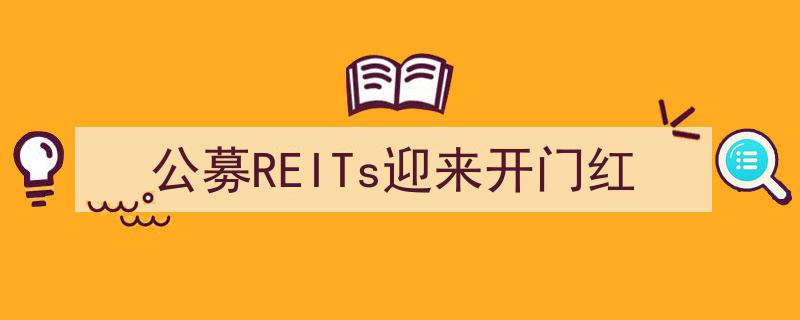 公募REITs市场喜讯连连,开门红开启财富增长新篇章"/