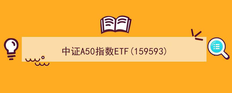 中证A50指数ETF(159593)半年新增规模领先，A500ETF指数基金飘红，专家看好市场底部，布局正当时"/