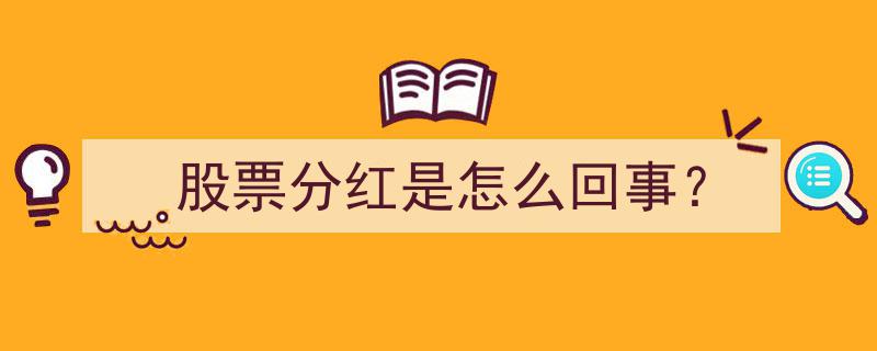 股票分红揭秘,投资者必知的分红那些事儿"/