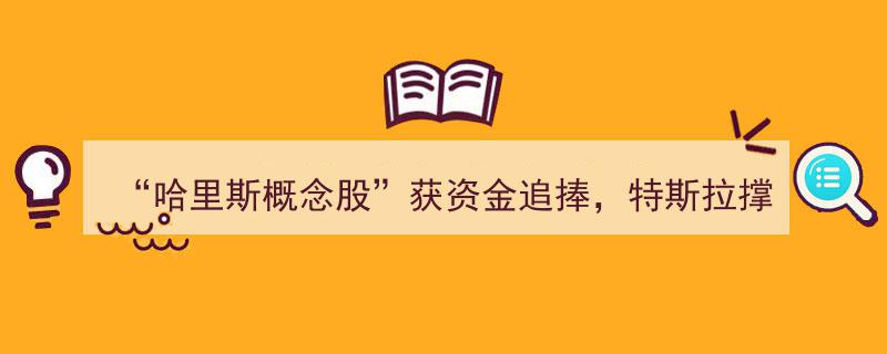 哈里斯概念股受热捧，特斯拉助力特朗普股价大涨5%"/