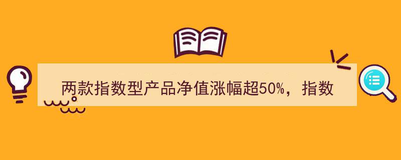 两款指数型产品净值翻倍领跑，指数投资成理财新宠——机警理财日报聚焦"/