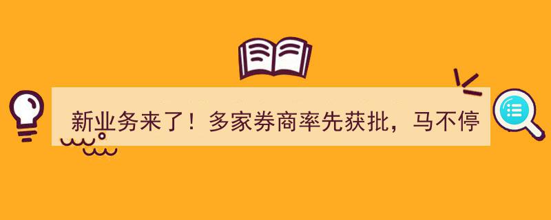新业务激增！券商密集获批，火速开启权限申请通道，元旦后哪家领先揭晓？"/