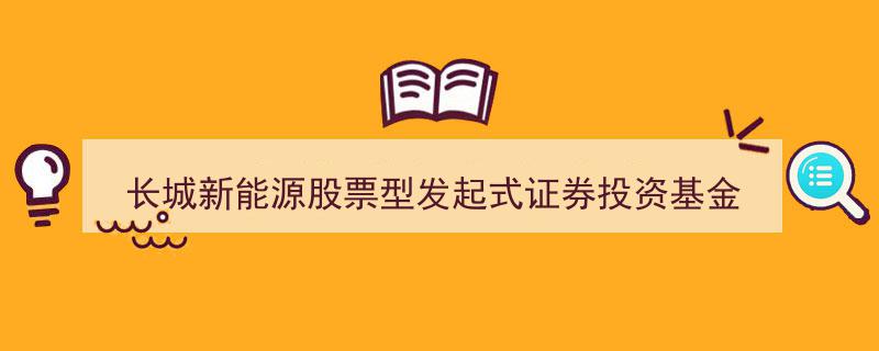 长城新能源股票型发起式证券投资基金全面开放开放日常申购、赎回、转换及定期定额投资业务公告"/