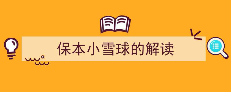 保本小雪球策略深度解读,稳健投资的艺术"/