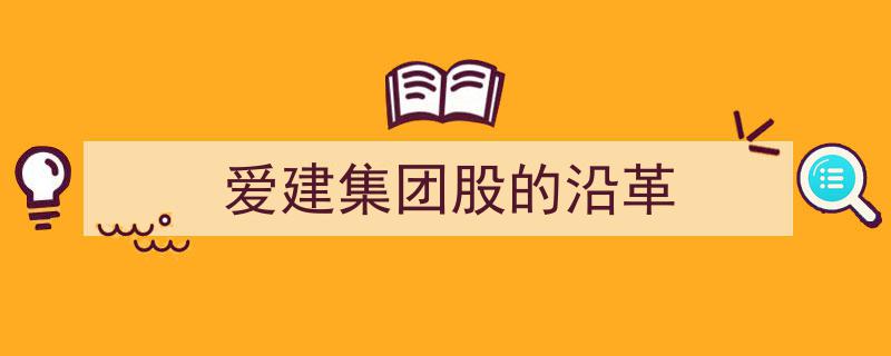 爱建集团股权沿革,回顾与展望"/