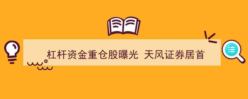 天风证券领跑，杠杆资金重仓股榜单曝光！"/
