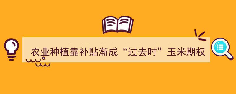 农业补贴转向新篇章,玉米期权开启惠农新路径"/