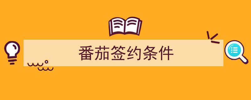 揭秘番茄签约条件,关键要素与成功秘诀"/