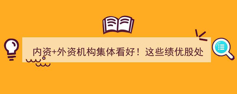 内资外资机构集体看好，绩优股“黄金坑”潜力无限！"/
