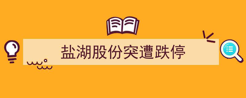 盐湖股份惊现跌停风暴,市场波动背后的隐情解析"/