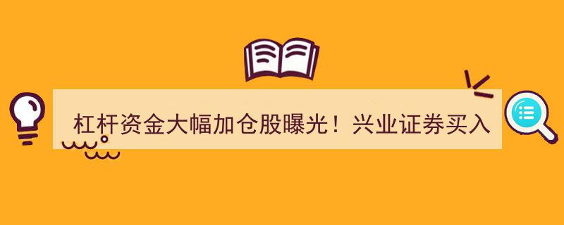 杠杆资金狂热涌入，兴业证券独领风骚,买入某股占比高达49.92%"/