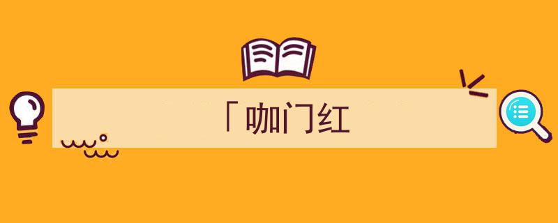 「咖门红」,揭秘咖啡界的网红新宠"/