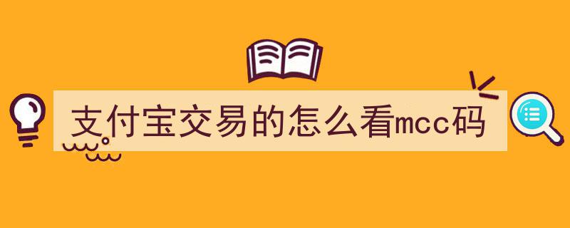 支付宝交易解析,如何查看交易中的MCC码"/