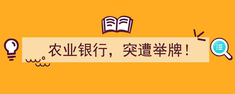 农业银行突遭举牌！资本市场风云再起"/