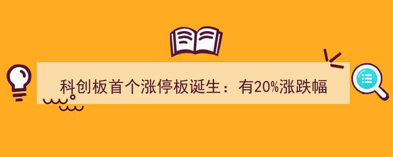 科创板首个涨停板诞生揭秘,20%涨跌幅限制下，换手率变化趋势分析"/