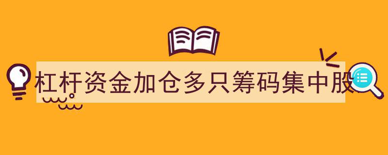 杠杆资金大举加仓，多只筹码集中股引市场关注"/