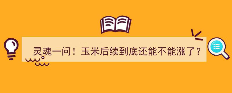 灵魂一问！玉米后续行情揭秘,深度分析，玉米还能涨多久？"/