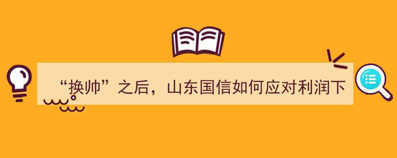 换帅新局,山东国信破解利润下滑挑战之路"/