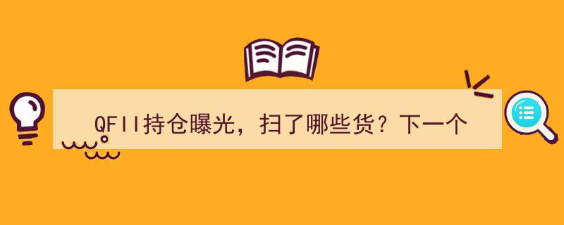 QFII持仓大揭秘,扫货清单曝光，探寻下一个“黄金坑”潜力标的"/