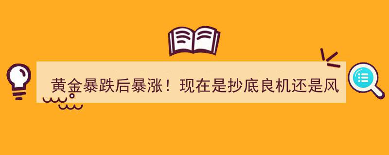 黄金暴跌惊魂后突现暴涨！抄底良机还是风险陷阱？深度解析投资策略与逻辑"/