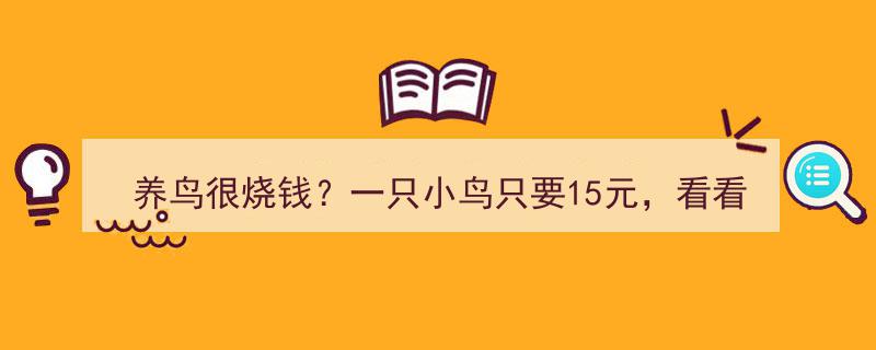 养鸟不贵？15元入手小鸟，揭秘合法养鸟种类与开销真相！"/