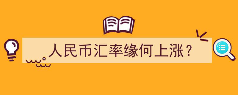 人民币汇率上涨背后的原因解析"/