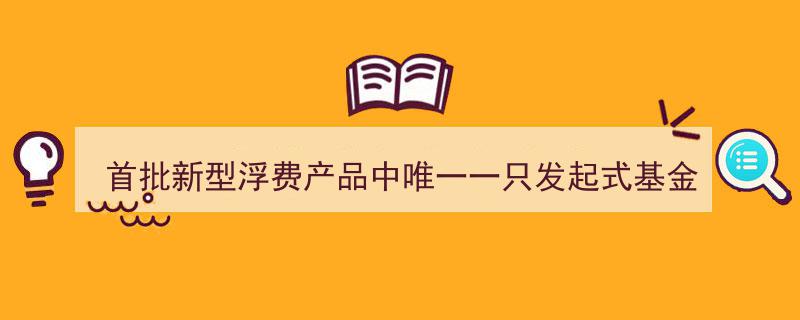 中欧大盘智选,首批新型浮费产品中独树一帜的发起式基金火热发行中"/