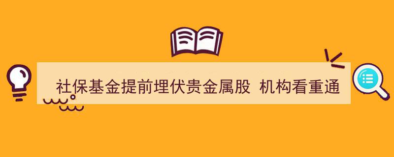 社保基金提前布局贵金属股,机构聚焦通胀背景下的交易新机遇"/