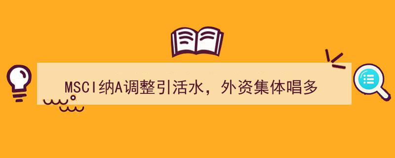 MSCI纳A调整引活水注入，外资集体看好中国股市前景"/