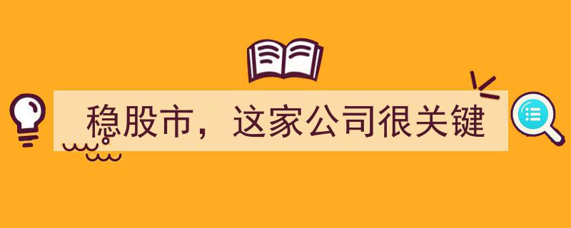 稳股市关键力量,这家公司肩负重任"/
