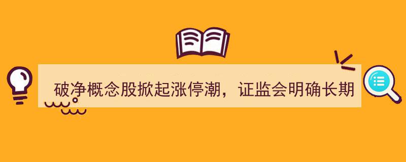 破净概念股涨停热潮来袭，证监会强调长期破净企业须披露估值提升策略"/