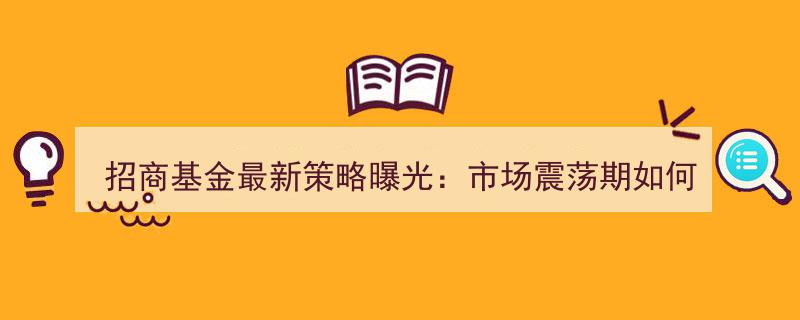 招商基金最新策略揭秘,震荡市中如何以高股息红利资产稳中取胜？"/