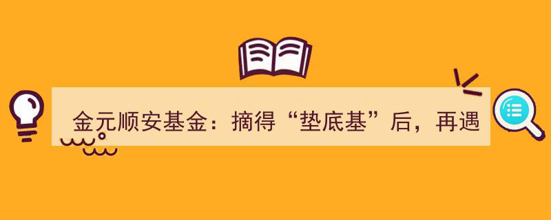 金元顺安基金历经“垫底基”风波，再遭巨额赎回挑战"/