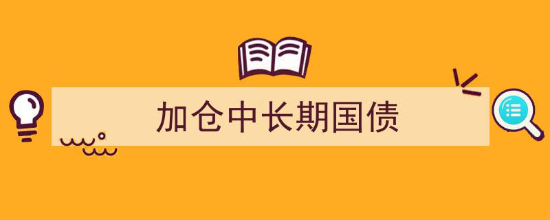 智选投资策略,加仓中长期国债，稳健布局未来财富增长"/