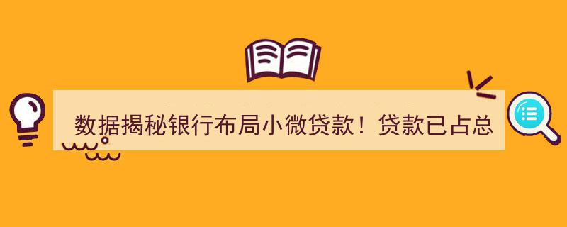 数据揭秘,银行布局小微贷款新格局！贷款占比达总余额两成，小银行纷纷加速布局"/