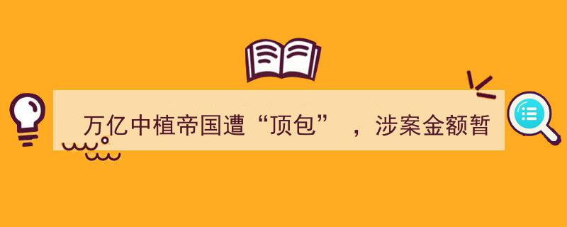 万亿中植帝国遭遇“顶包”风波，涉案金额暂成谜局"/