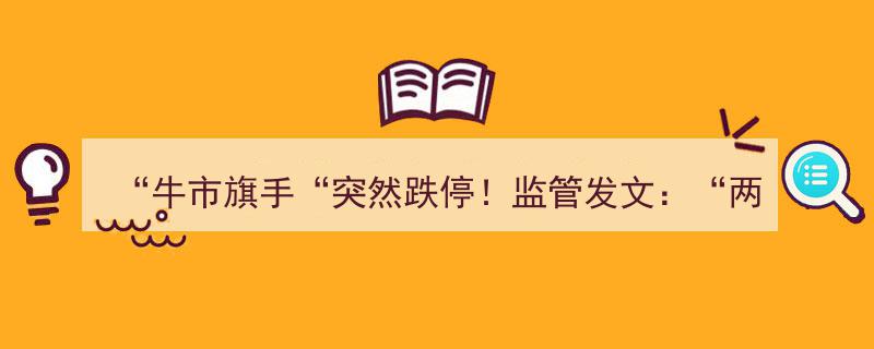 牛市旗手股价突遭跌停！监管紧急发文警示“两融套现”风险隐患"/