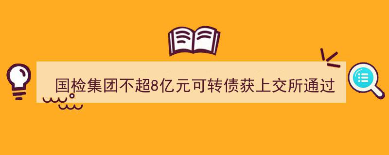 国检集团8亿元可转债成功过会，中金公司助力上交所审批通过"/